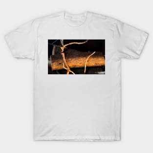 4212015 firewood T-Shirt